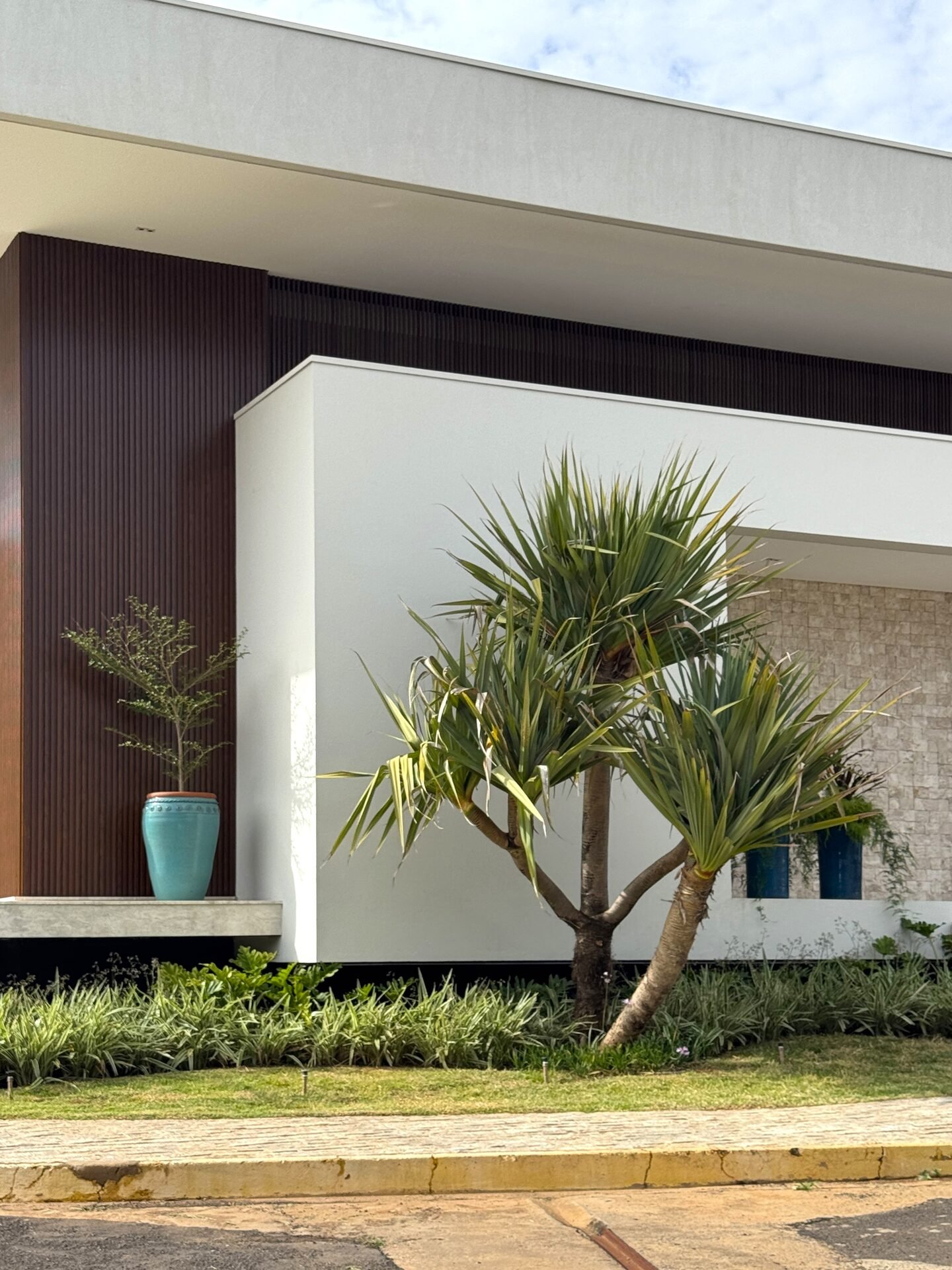 Casa AS — Osvaldo Cruz: detalhe da entrada com vasos e vegetação — projeto de arquitetura residencial