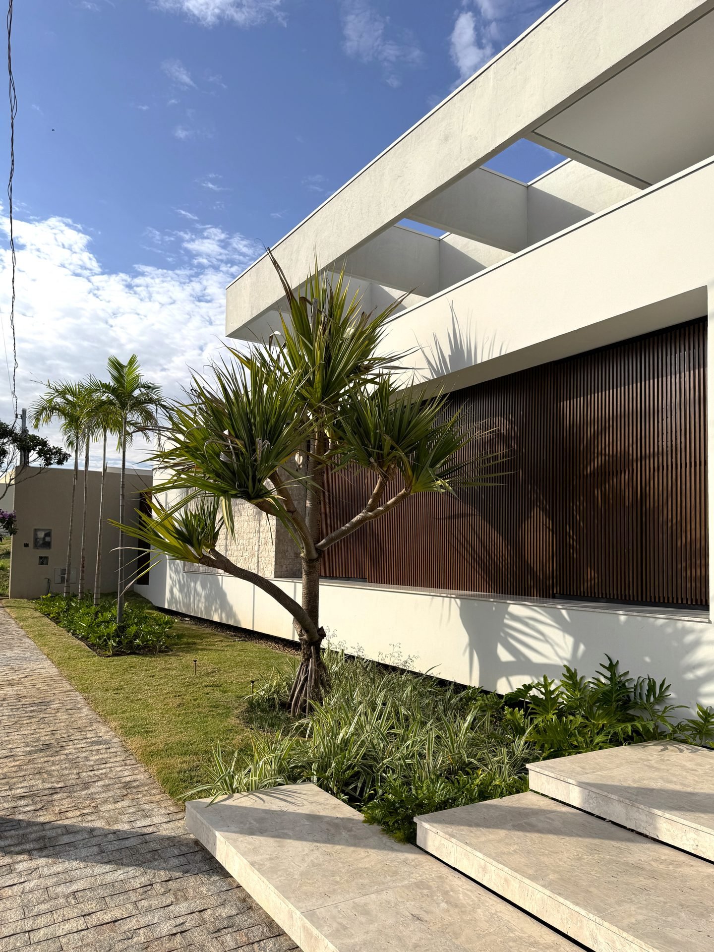 Casa AS — Osvaldo Cruz: fachada lateral com dracena e palmeiras ao fundo — projeto de arquitetura residencial