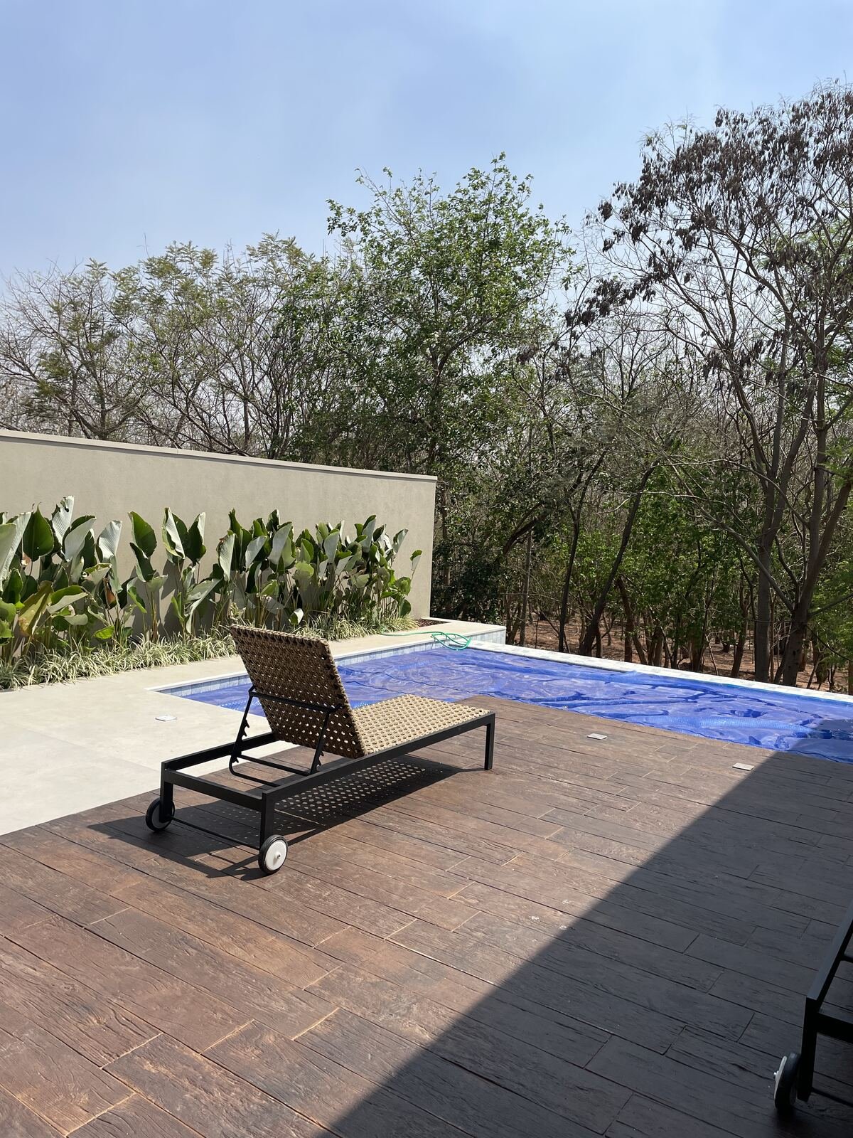 Casa GT — Osvaldo Cruz: piscina vista mata — projeto de arquitetura residencial